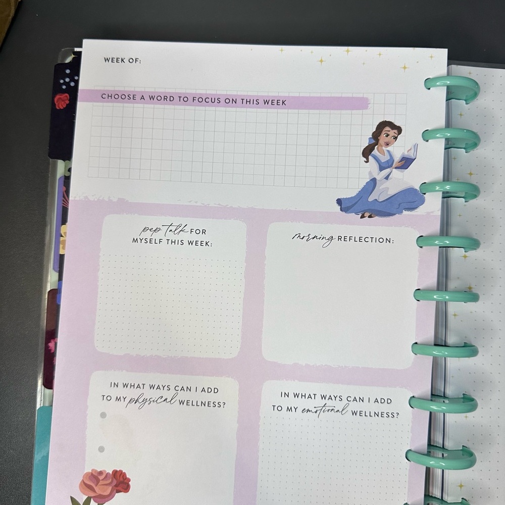 Disney Princess Planner - Picture 4 of 8